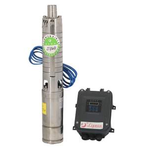 2HP 1000W Submersible Solar Pumps for Borehole DC Brushless Solar Water Pumps for Deep Well with MPPT Controller
