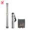 Hot Sale Standard Submersible 6 Inch Deep Well Pump